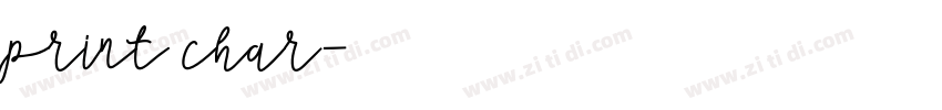 print char字体转换
